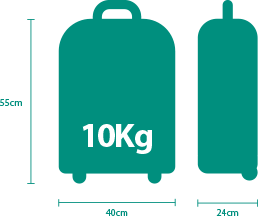 Travel Bag Airline Size