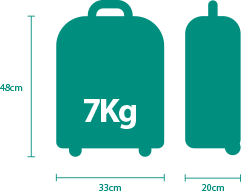 Cabin Baggage - Aer Lingus