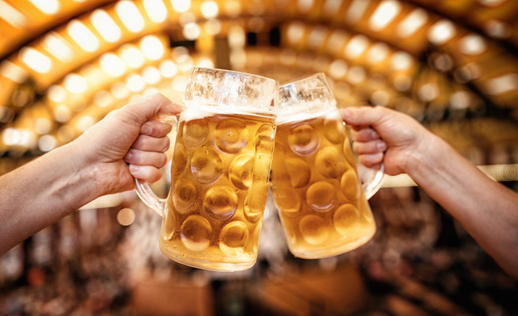 two hands clinking mass-beer glasses at oktoberfest in munich