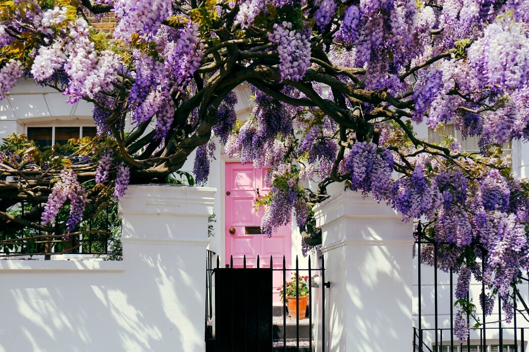 Notting Hill