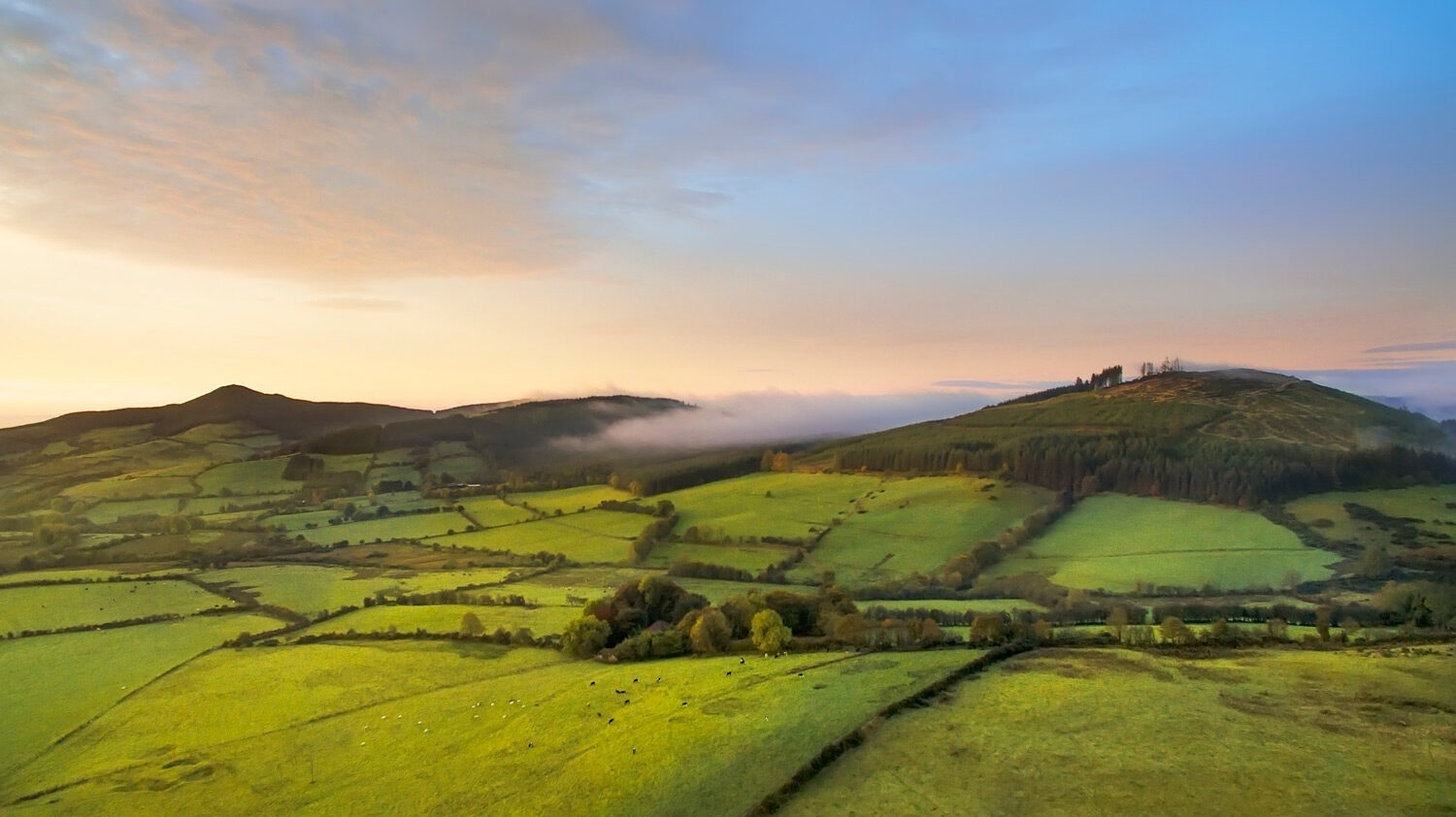 Sunrise on foggy day over Tipperary fields