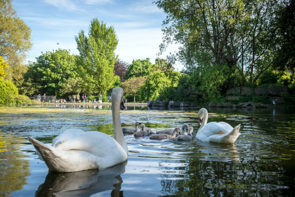 St Stephen's Green, Dublin