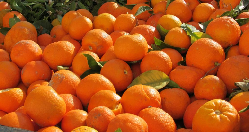 A multitude of oranges in a market stall