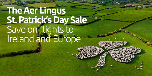 Sheep in the shape of a shamrock