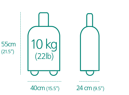 10 kg (1 szt. bag.). 55 cm x 40 cm x 24 cm