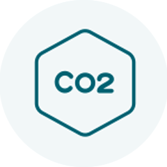 Carbon