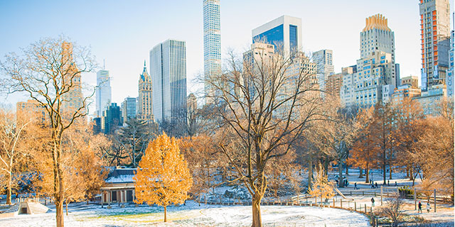 Central Park in New York covered in snow on a bright sunny day